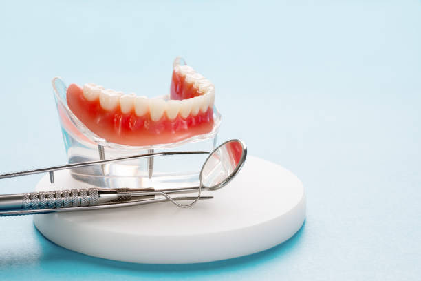 Elmwood Park, IL  Holistic Dental Services Company